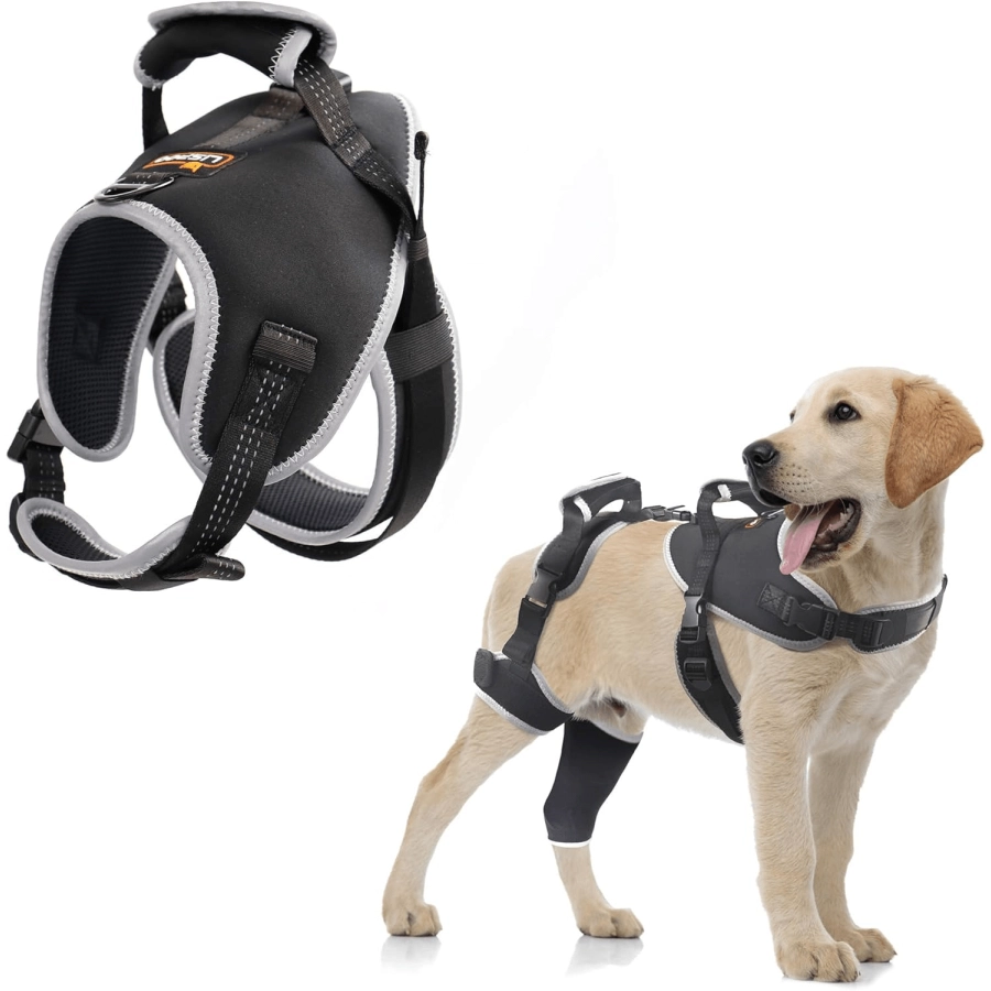 Lispoo Adjustable Dog Rear Leg Brace