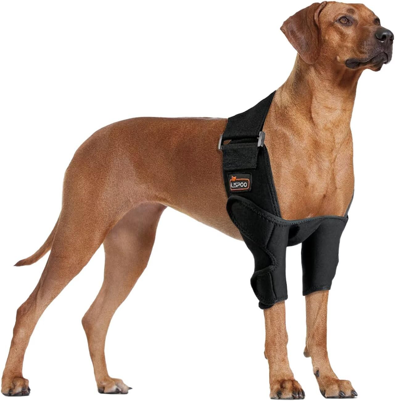 Lispoo Dog Elbow Brace