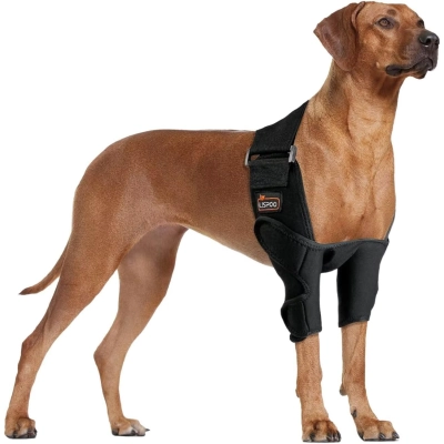 Lispoo Dog Elbow Brace 01