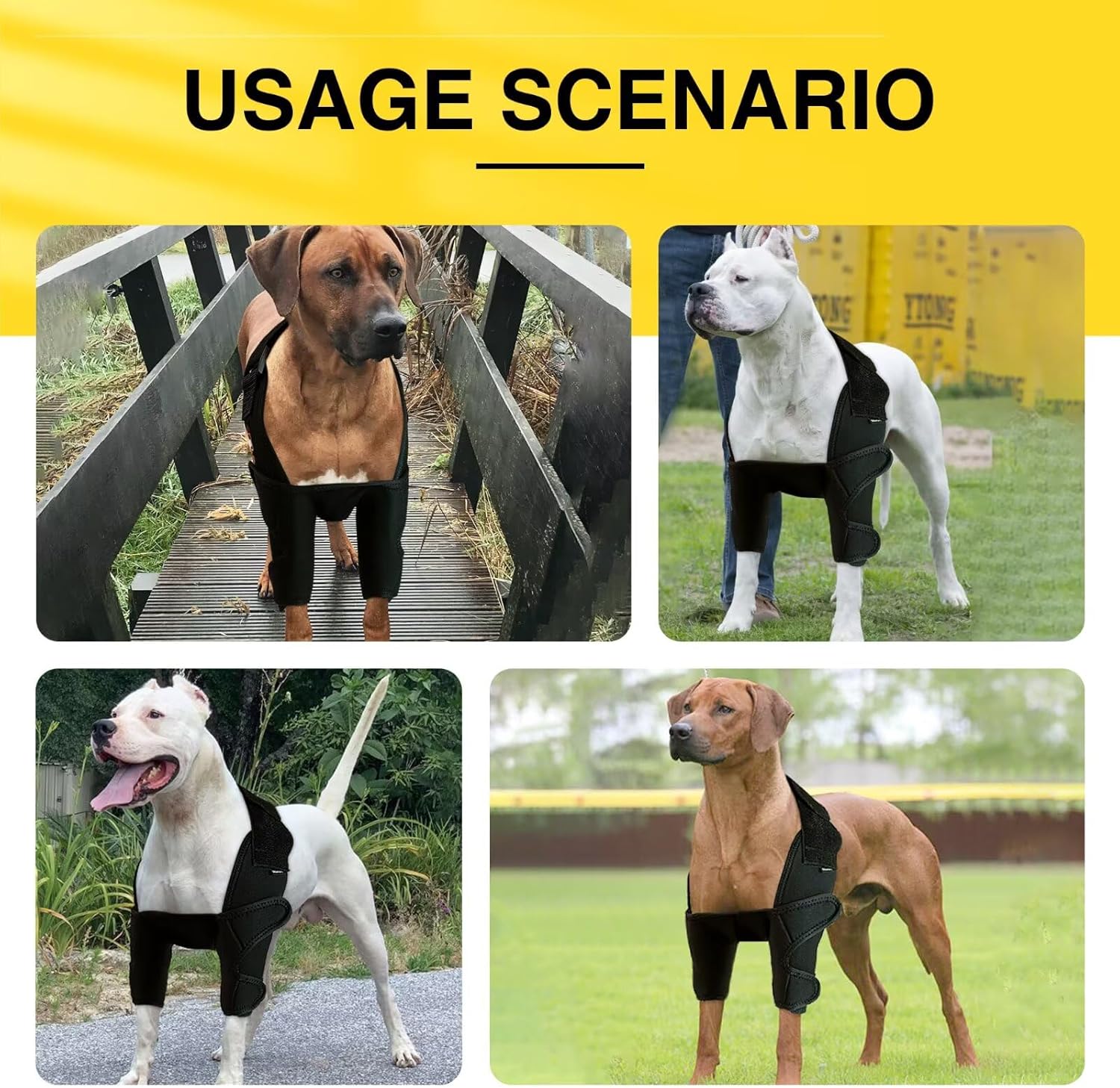 Lispoo Dog Elbow Brace