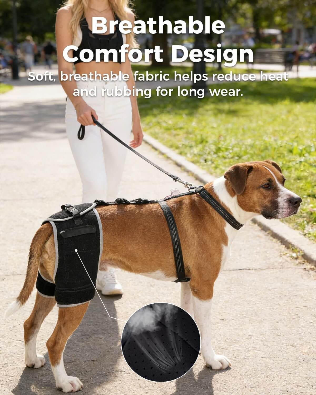 Lispoo Dog Hip Brace with Hot/Cold Gel Pack