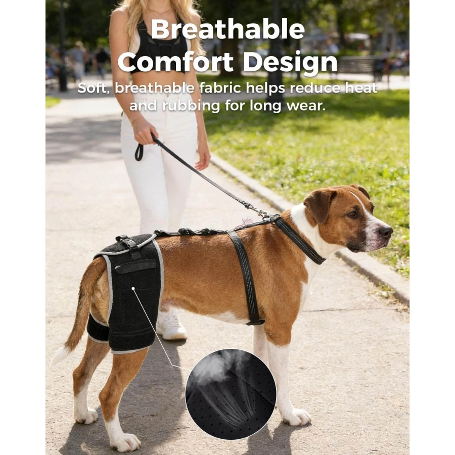 Lispoo Dog Hip Brace with Hot/Cold Gel Pack