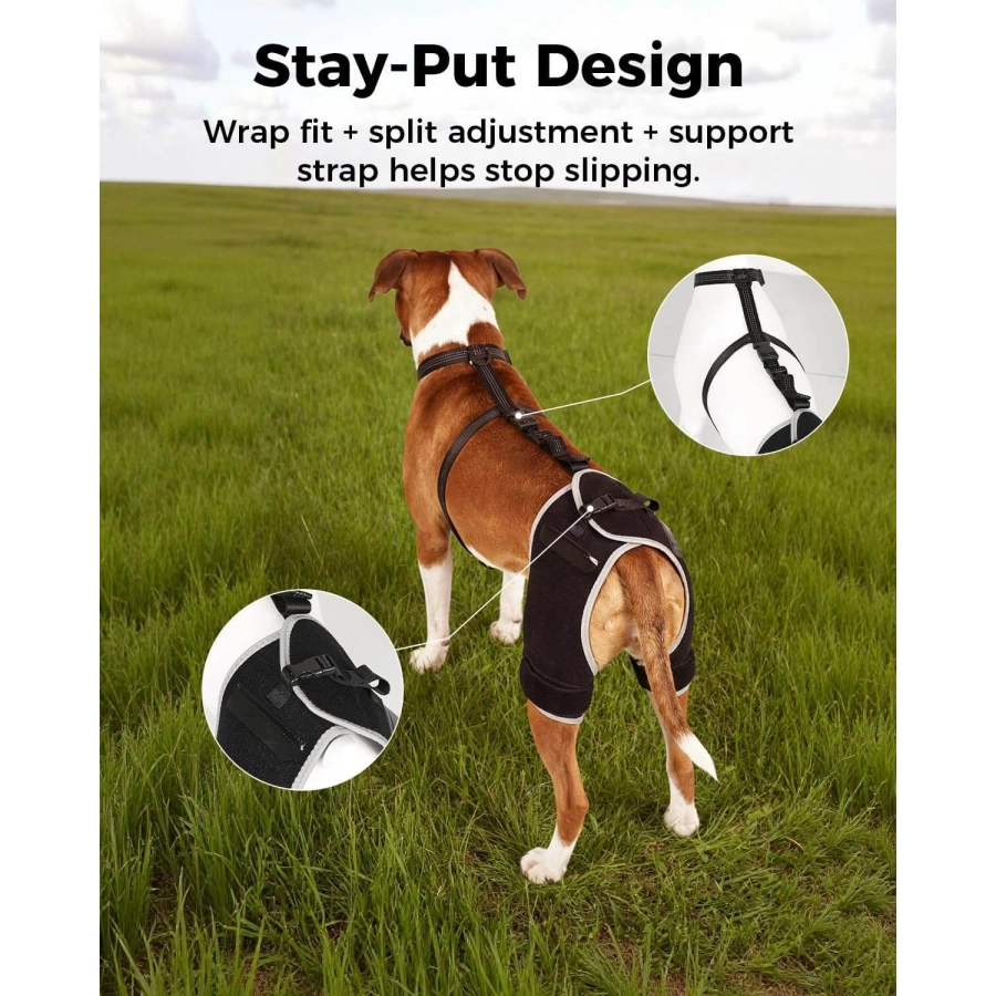 Lispoo Dog Hip Brace with Hot/Cold Gel Pack