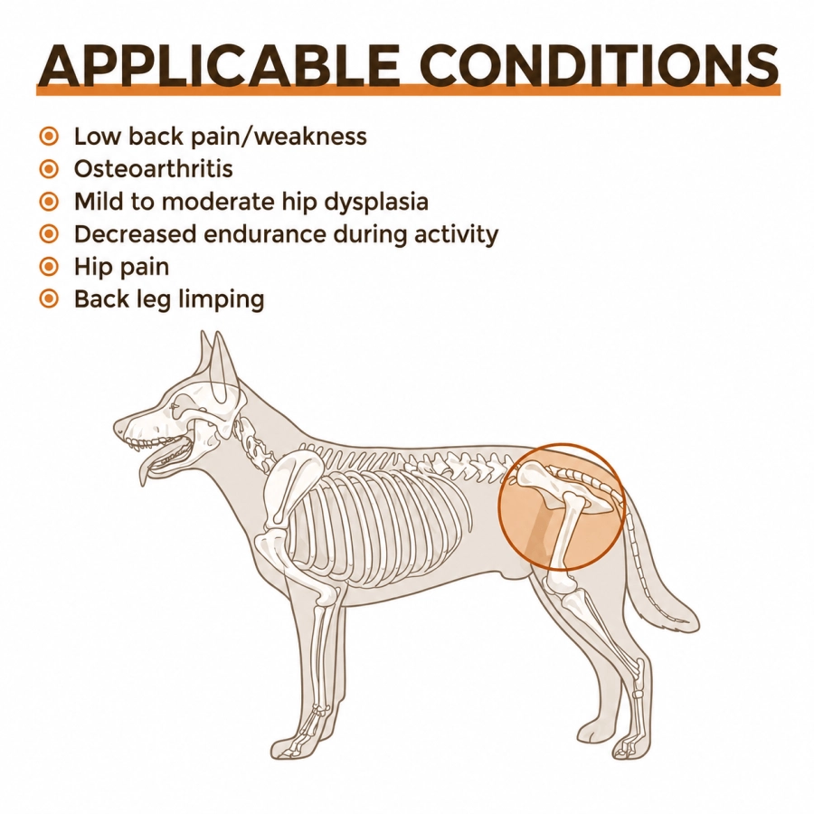 Lispoo Dog Hip Support Brace with Lift Handle