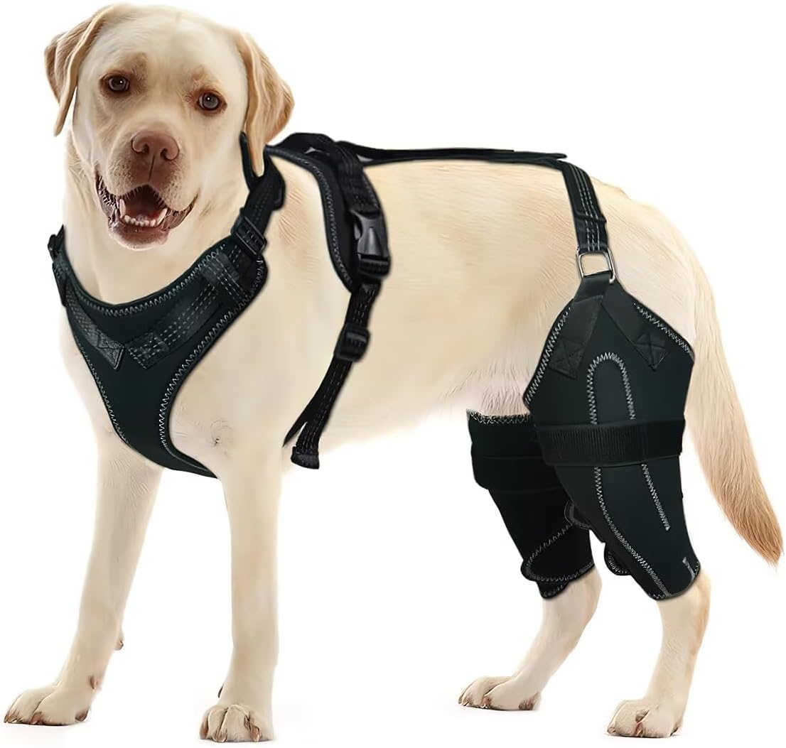 Dog Knee Brace for Torn ACL/CCL Hind Leg