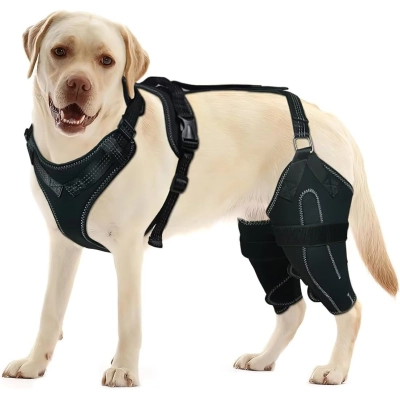 Dog Knee Brace for Torn ACL/CCL Hind Leg 01