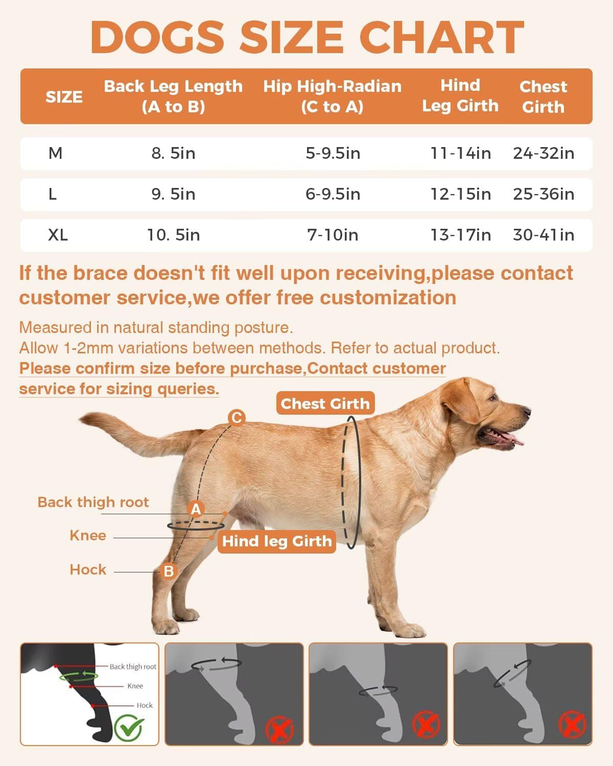 Dog Knee Brace for Torn ACL/CCL Hind Leg