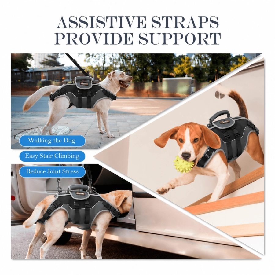 Lispoo Dog Lifting Harness for Disabled & Senior Dogs