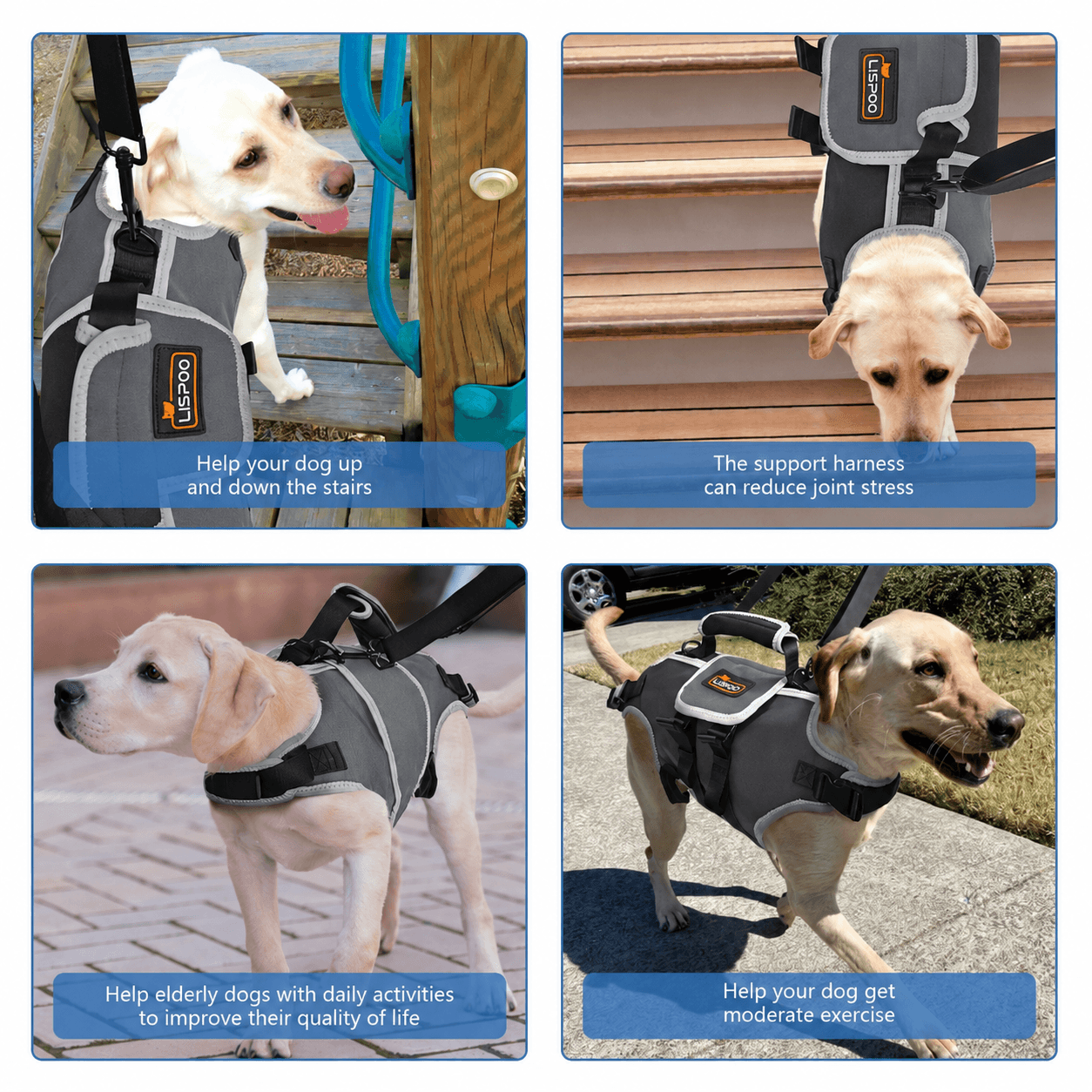 Lispoo Dog Lifting Harness for Disabled & Senior Dogs