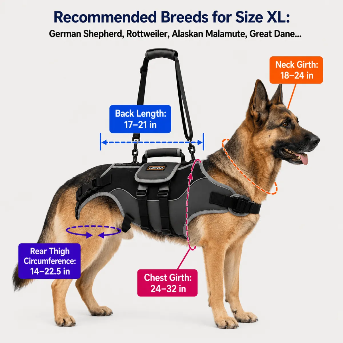Lispoo Dog Lifting Harness for Disabled & Senior Dogs