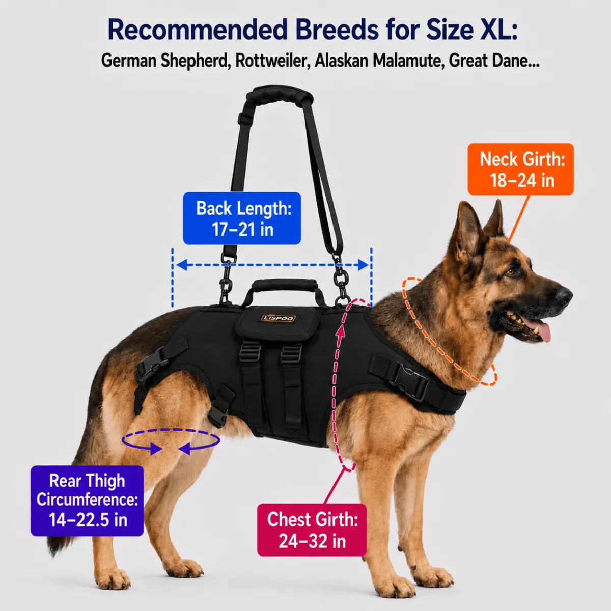 Lispoo Full Body Lift Harness for Dogs