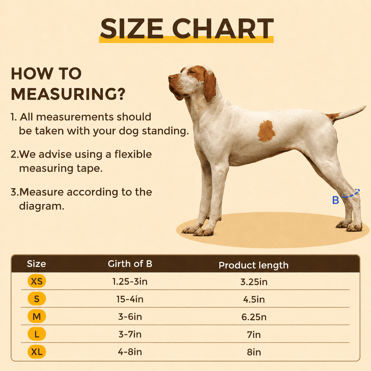Lispoo Rear No Knuckling Training Sock For Dogs