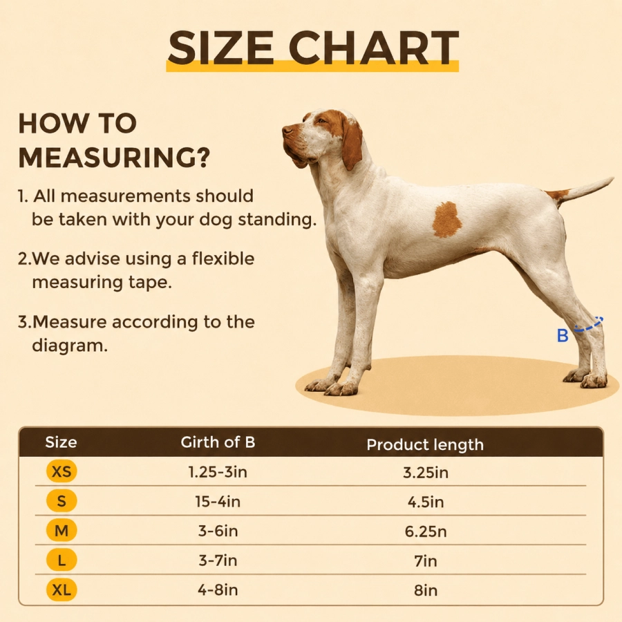Lispoo Rear No Knuckling Training Sock For Dogs