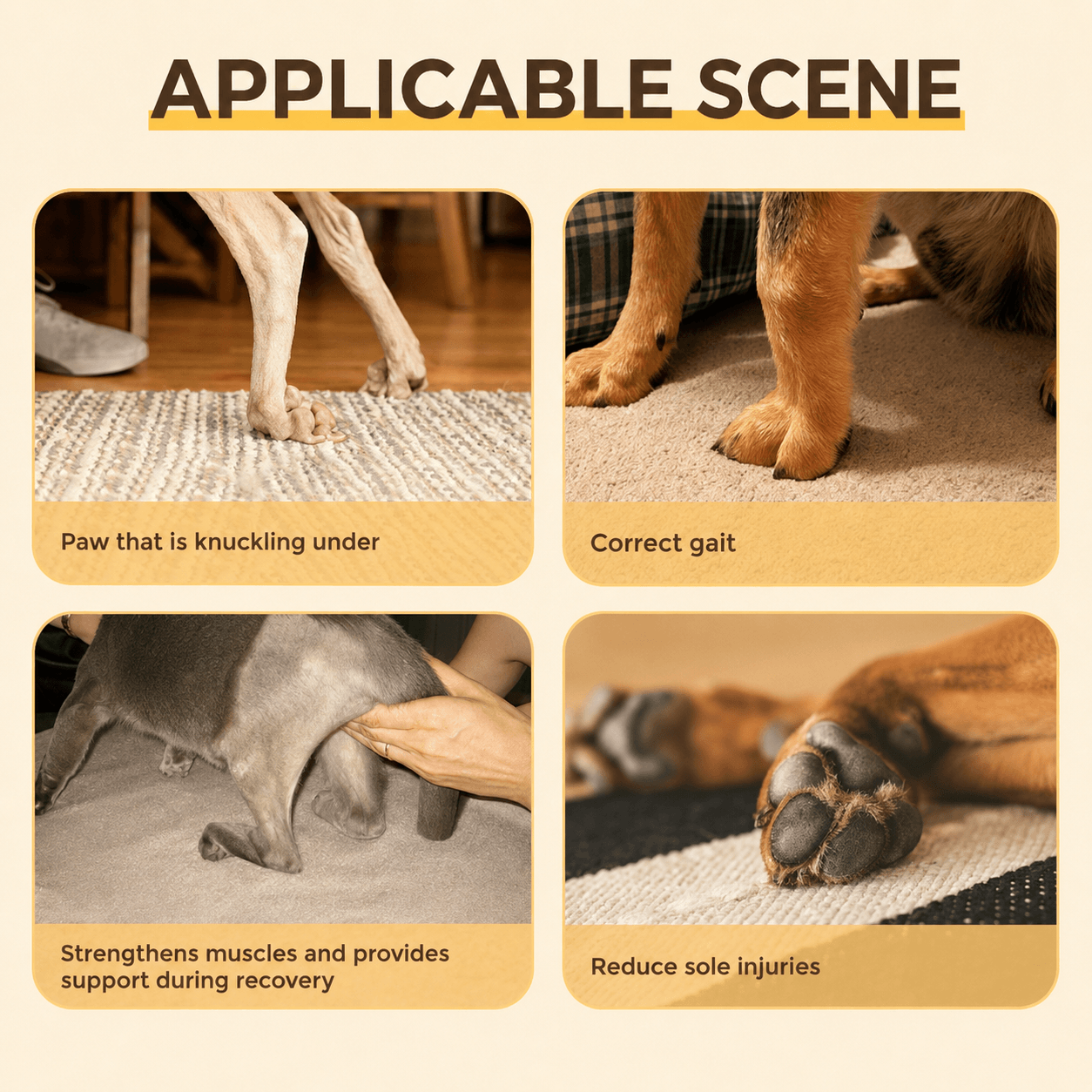 Lispoo Rear No Knuckling Training Sock For Dogs
