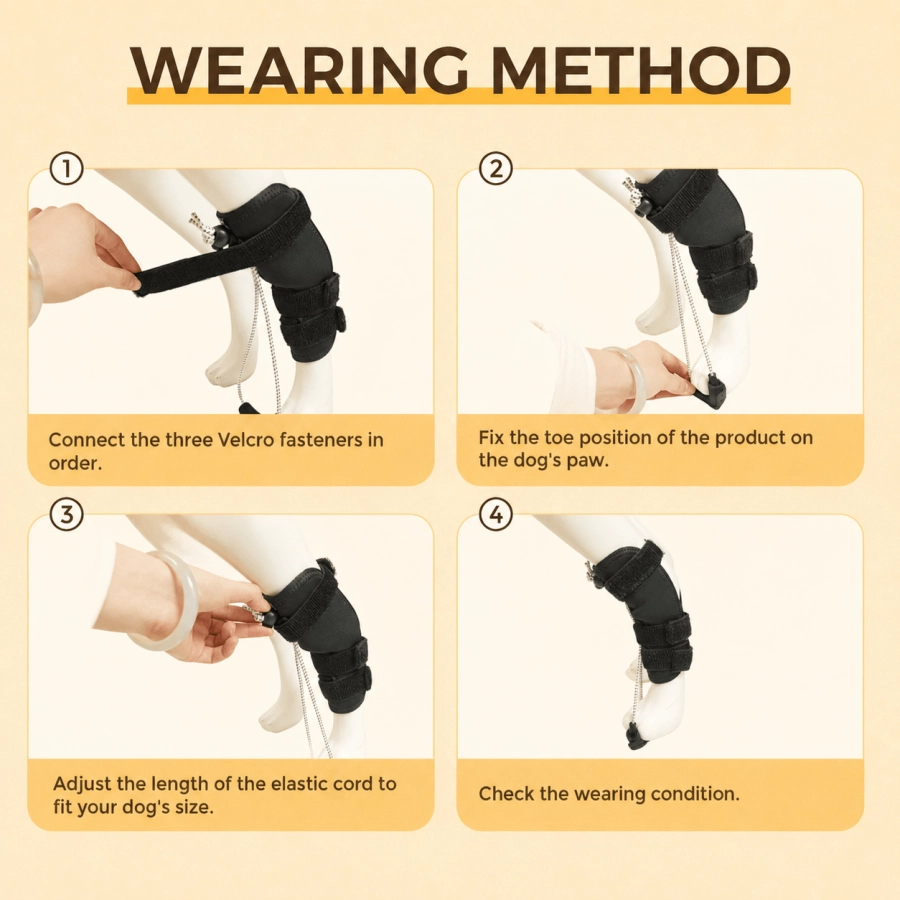 Lispoo Rear No Knuckling Training Sock For Dogs