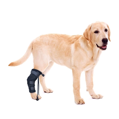 Lispoo Rear No Knuckling Training Sock For Dogs 01