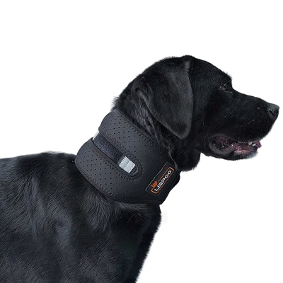 Lispoo Dog Neck Brace Collar 01