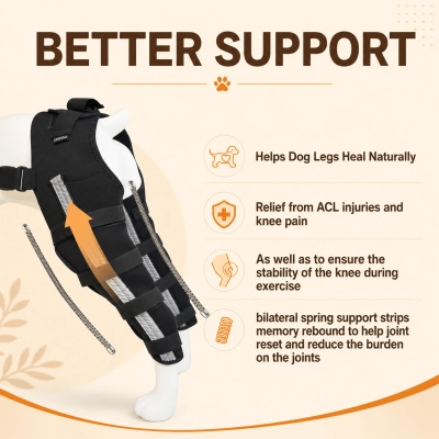 Lispoo Adjustable Dog ACL Knee Brace 02