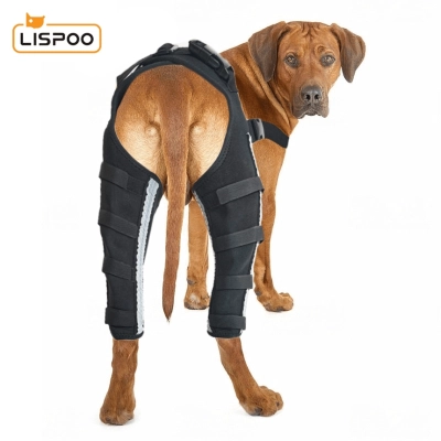 Lispoo Adjustable Dog ACL Knee Brace 02