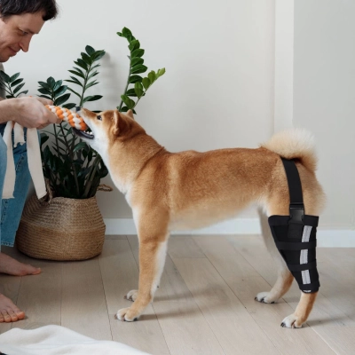Lispoo Dog Knee Brace for Rear Hind Leg Support 02