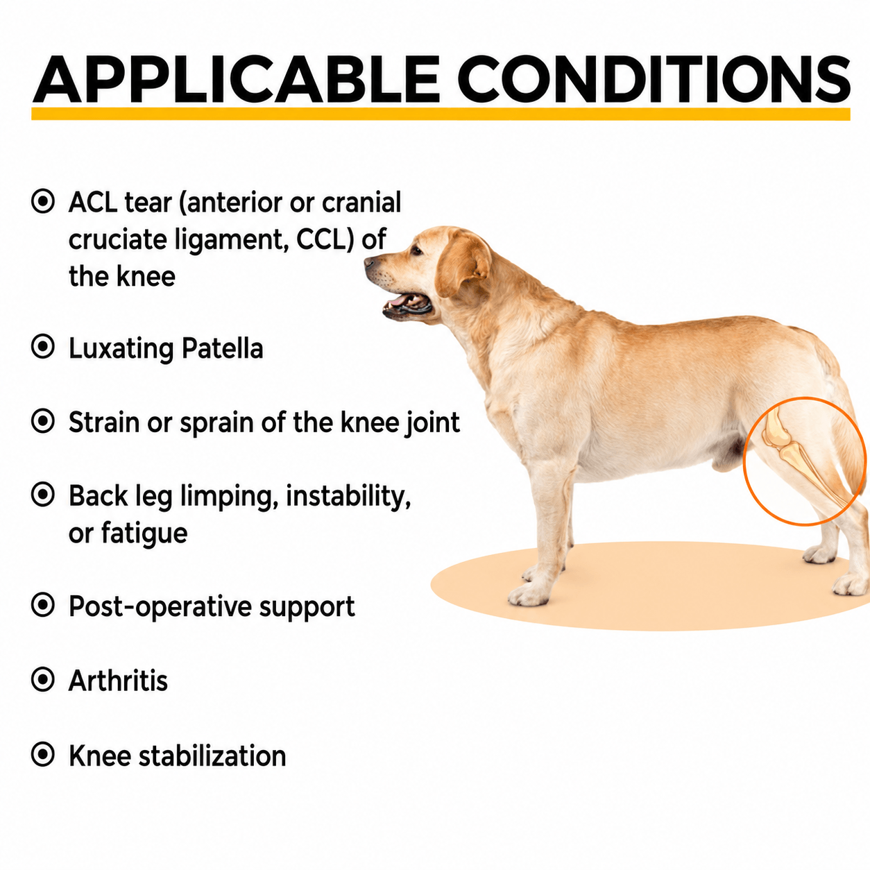 Lispoo Dog Rear Leg Brace for Patella Luxation