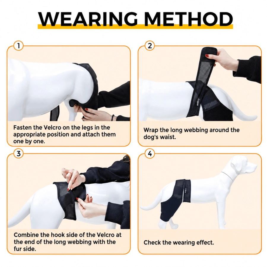 Lispoo Dog Rear Leg Brace for Patella Luxation
