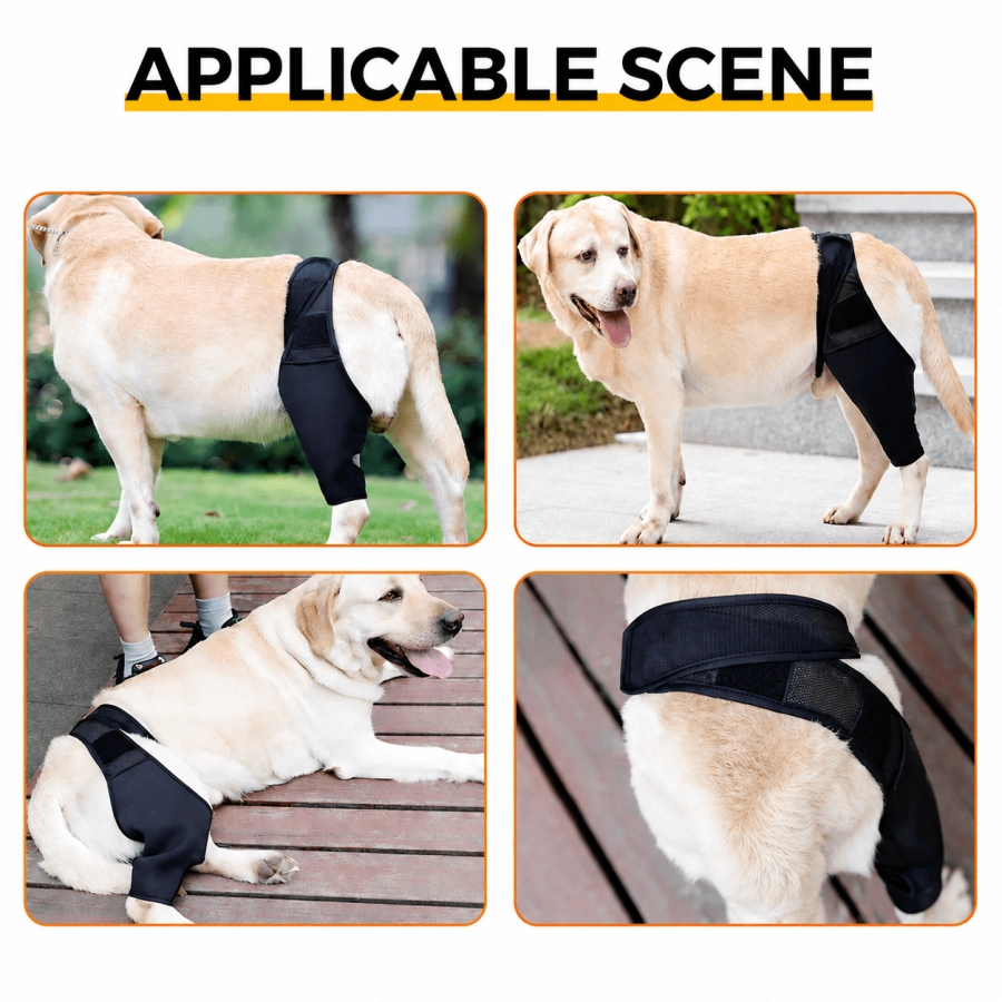 Lispoo Dog Rear Leg Brace for Patella Luxation