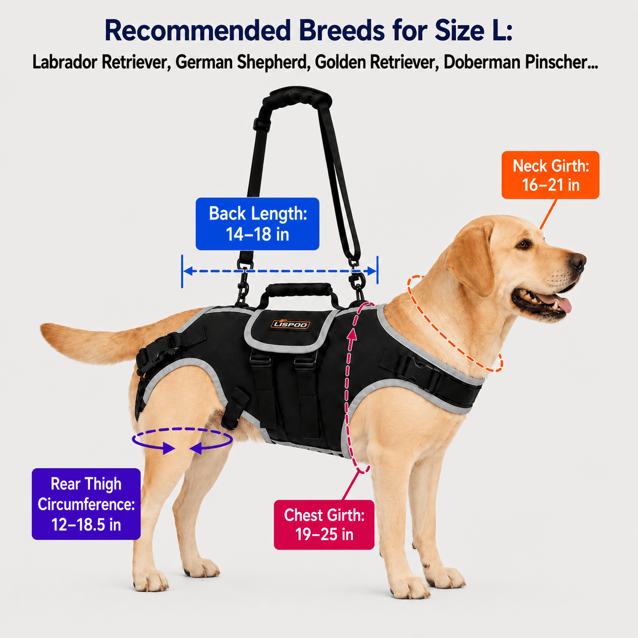Lispoo Dog Harness Lift Assist