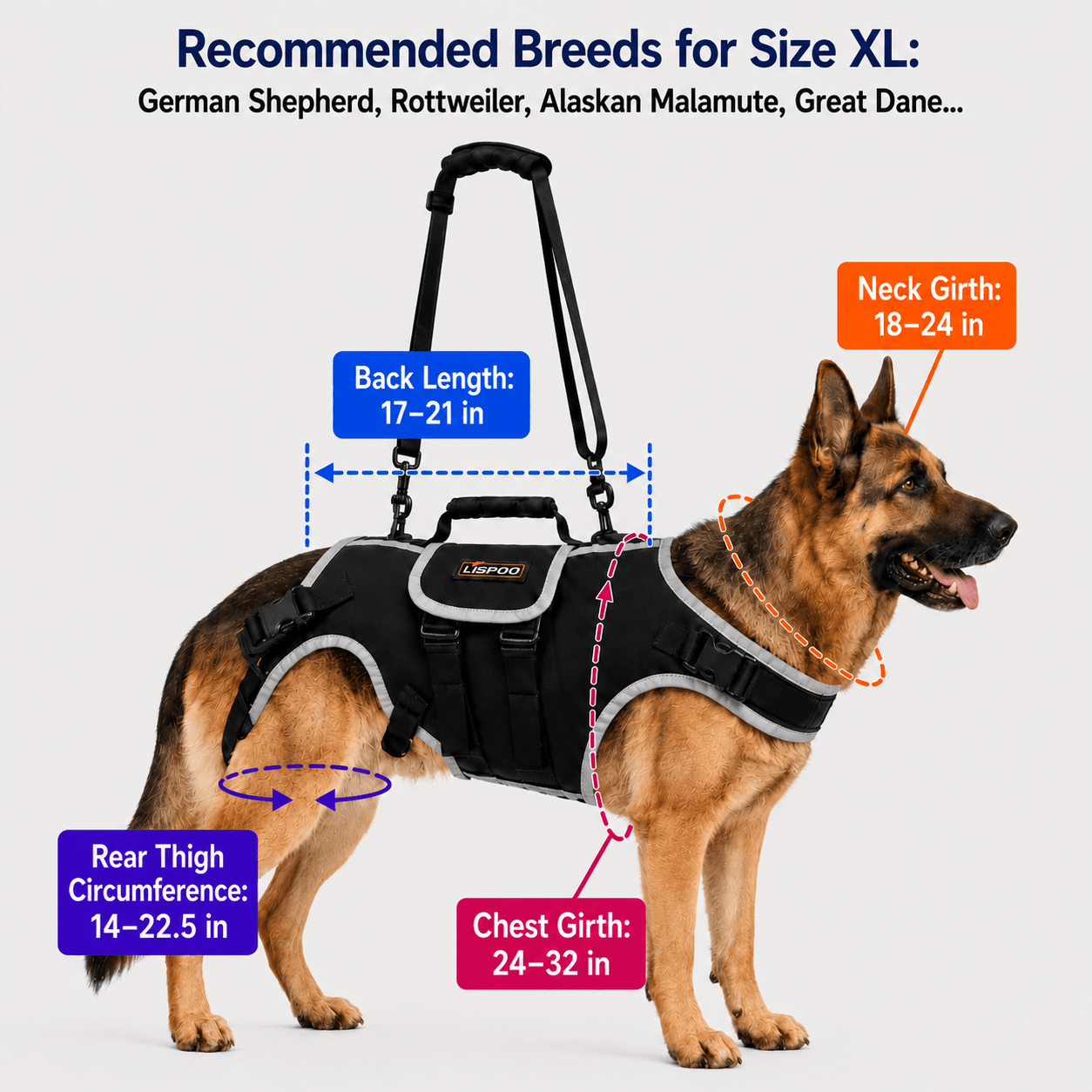 Lispoo Dog Harness Lift Assist