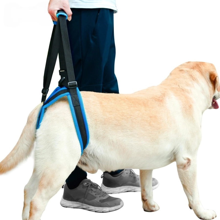 Lispoo Dog Rear Leg Harness with Handle for Lifting