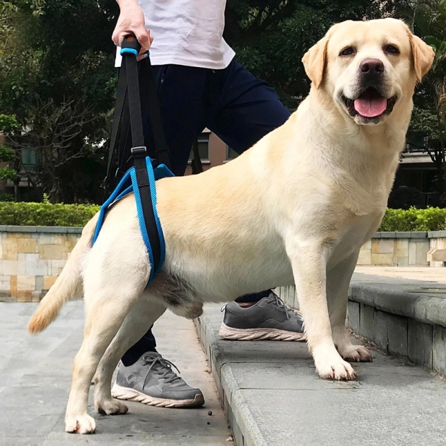 Lispoo Dog Rear Leg Harness with Handle for Lifting