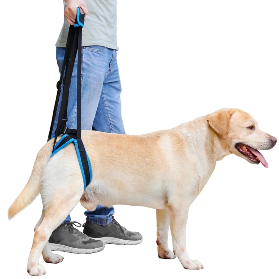 Lispoo Dog Rear Leg Harness with Handle for Lifting