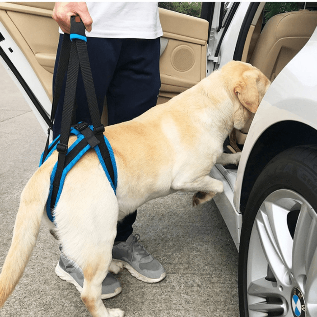 Lispoo Dog Rear Leg Harness with Handle for Lifting