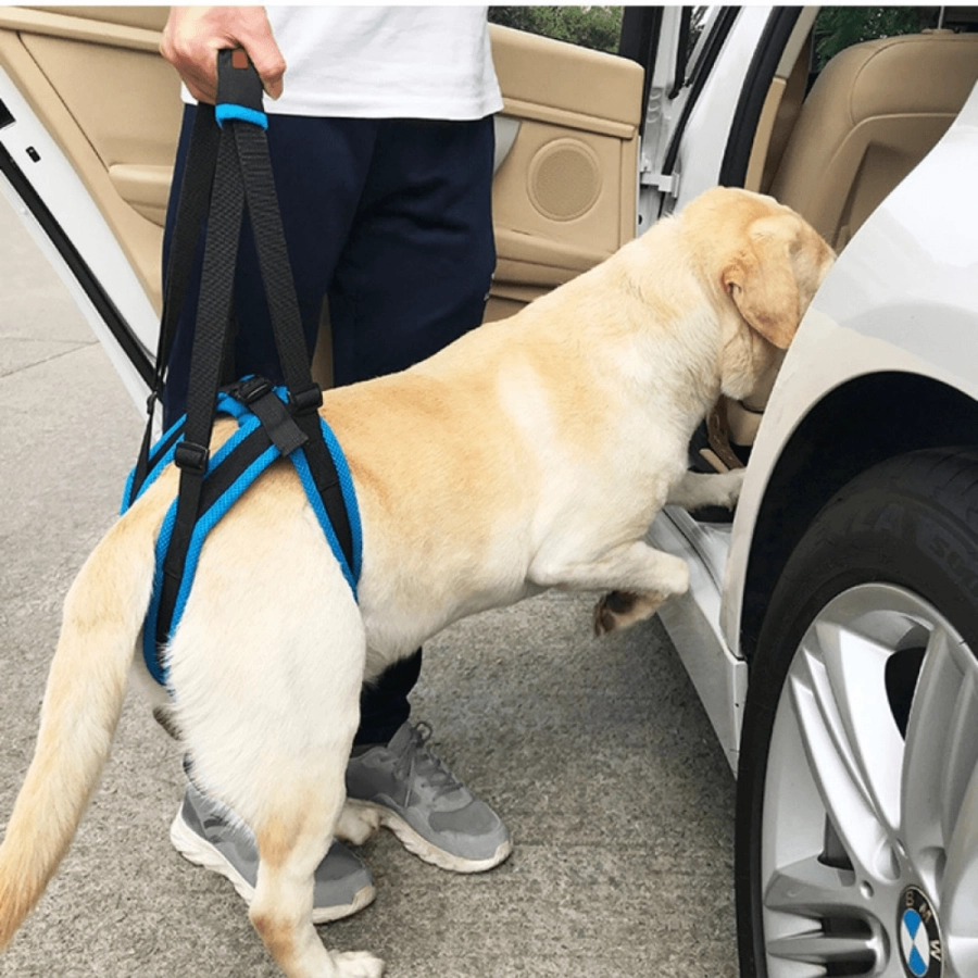 Lispoo Dog Rear Leg Harness with Handle for Lifting