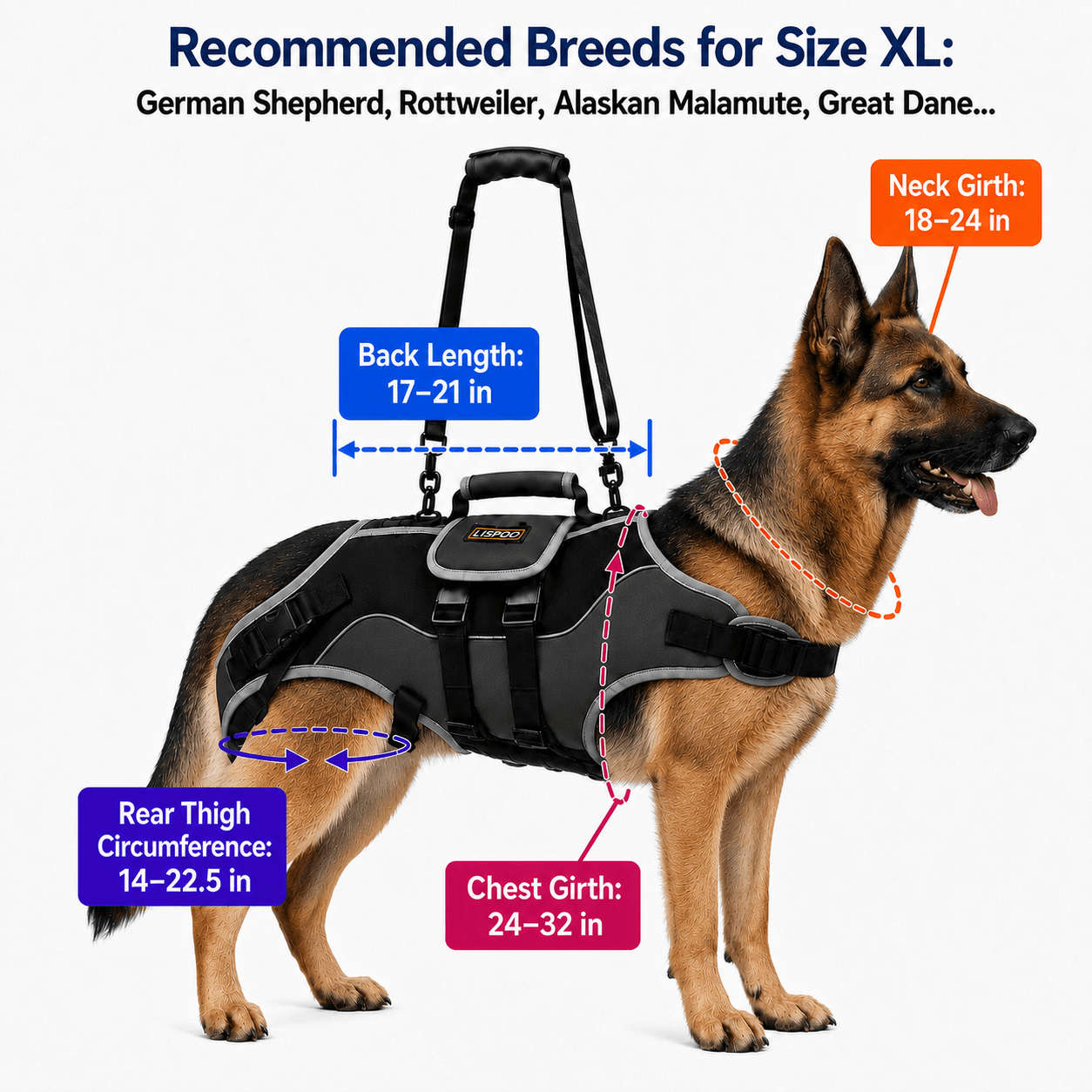 Lispoo Dog Lifting Harness for Disabled & Senior Dogs