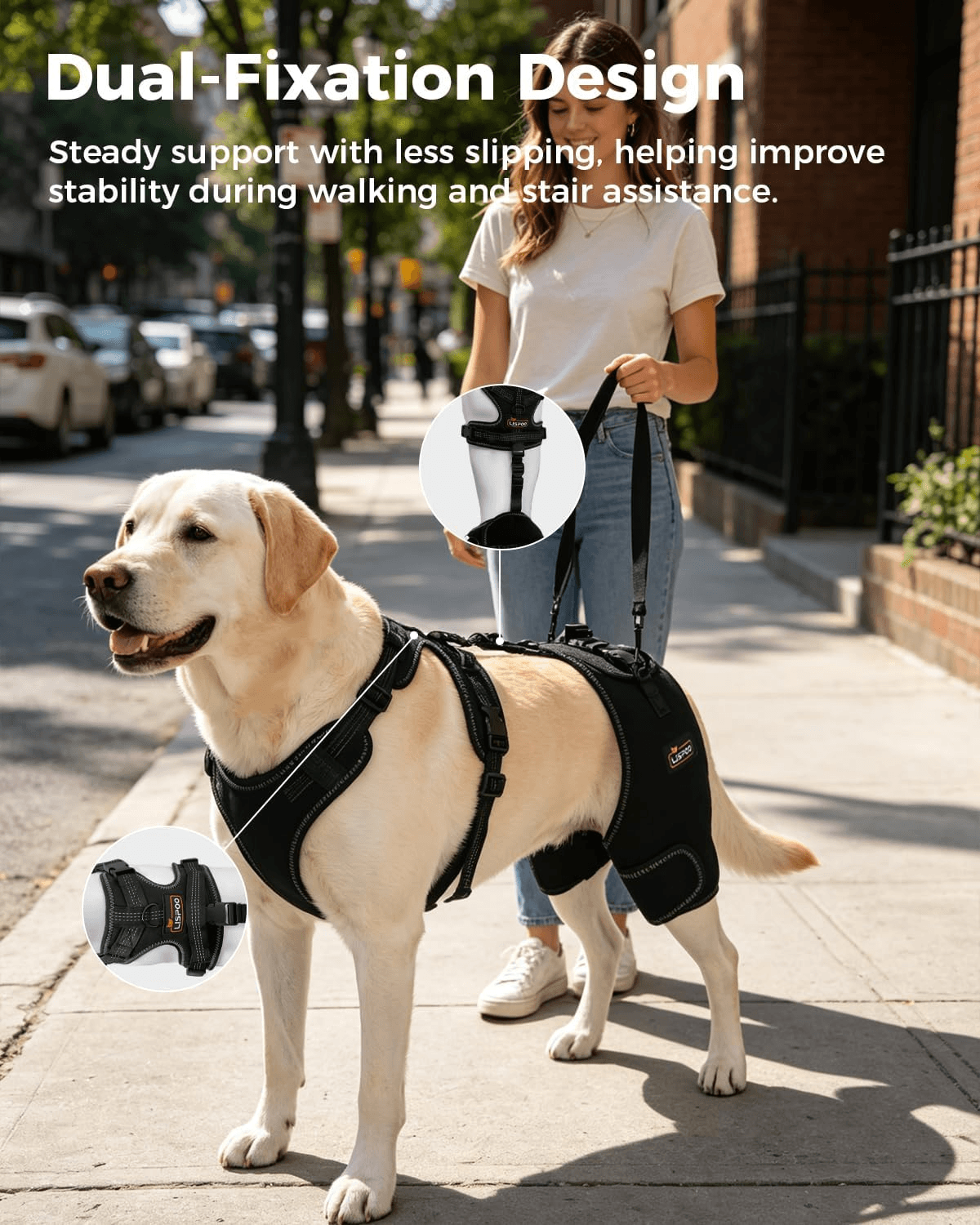 Lispoo Dog Hip Support Brace with Lift Handle