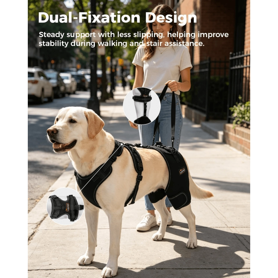 Lispoo Dog Hip Support Brace with Lift Handle