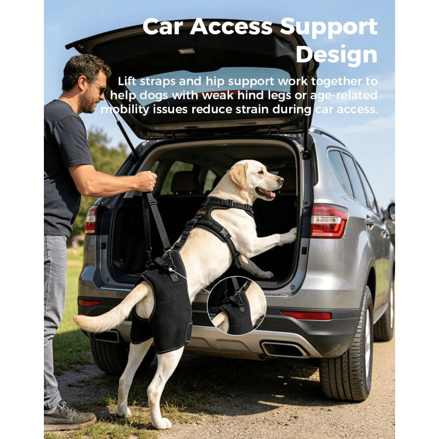 Lispoo Dog Hip Support Brace with Lift Handle