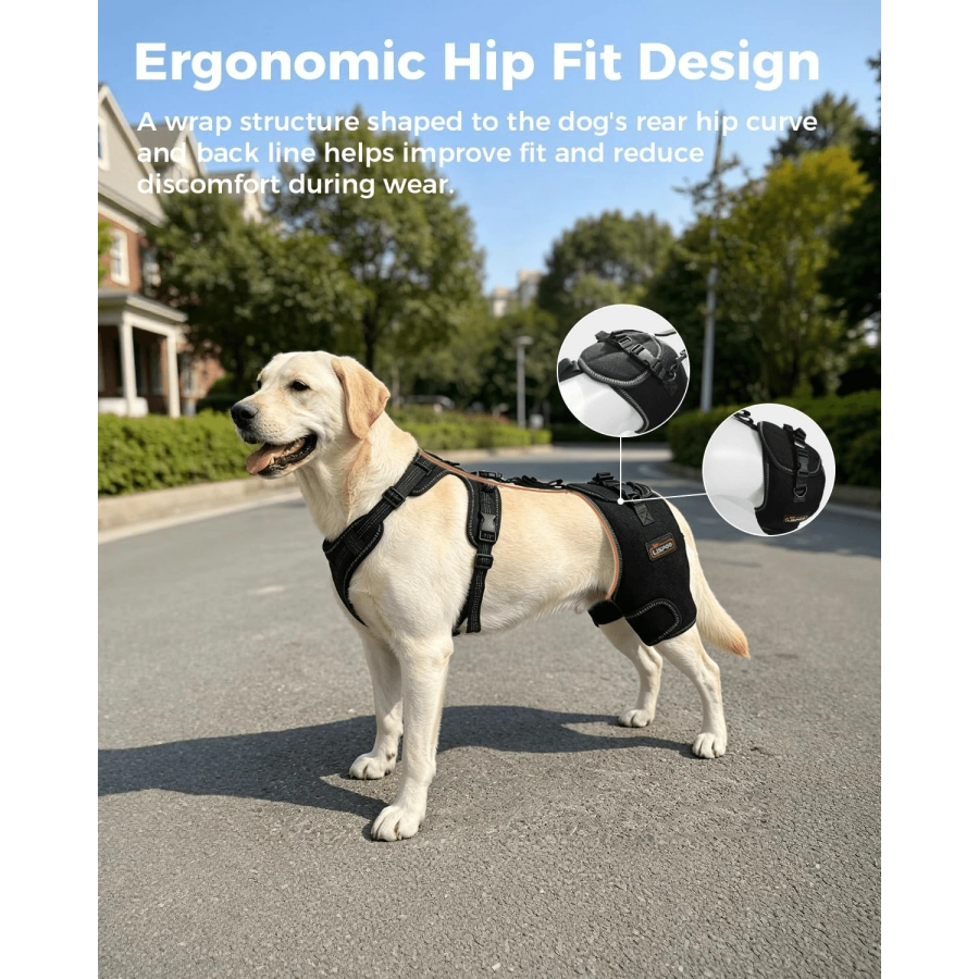 Lispoo Dog Hip Support Brace with Lift Handle