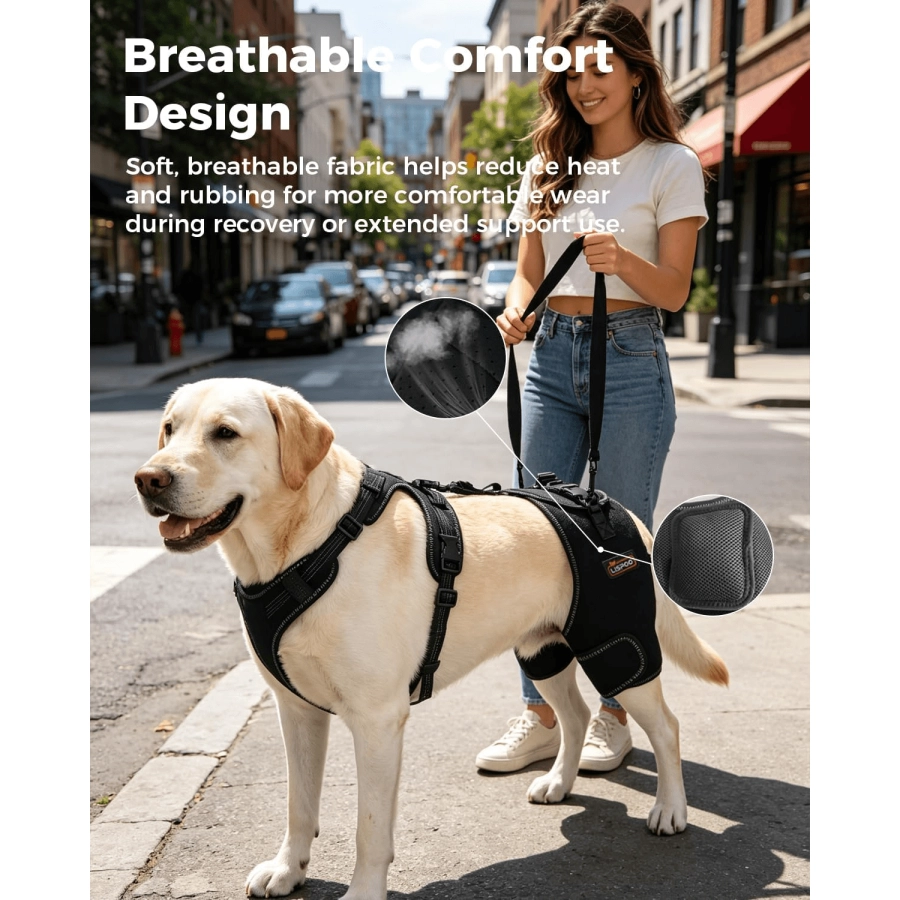 Lispoo Dog Hip Support Brace with Lift Handle
