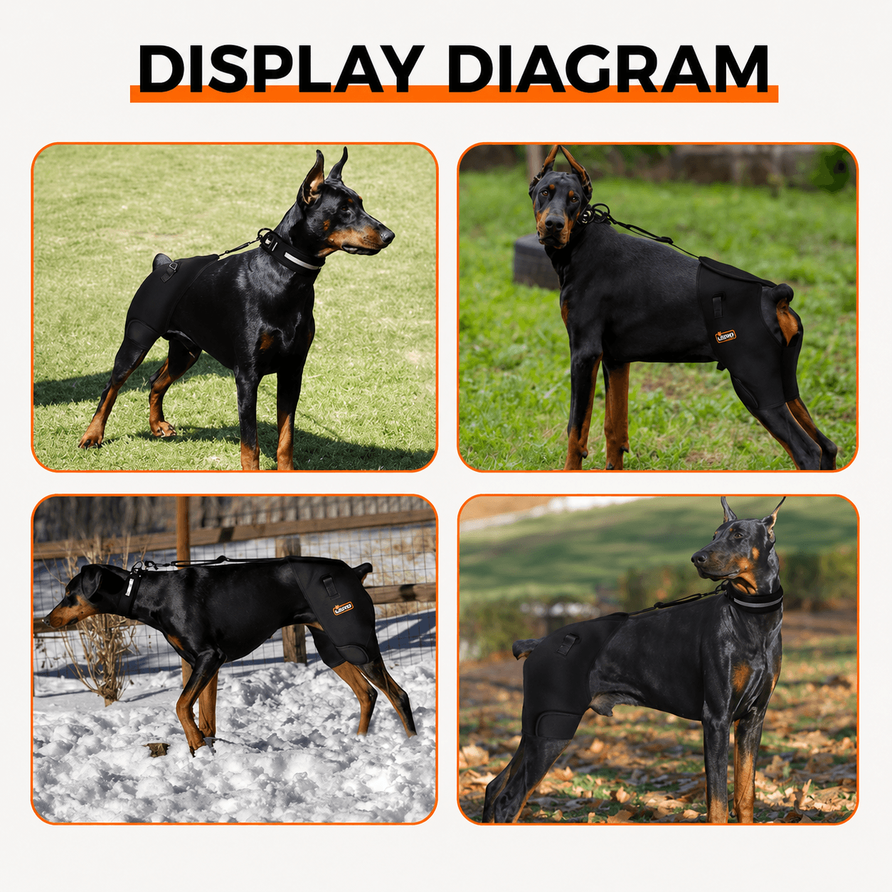 Lispoo Dog Hip Dysplasia Brace for Large Dogs