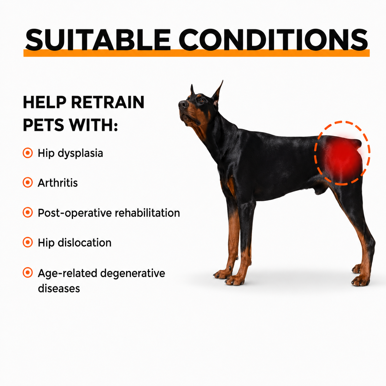 Lispoo Dog Hip Dysplasia Brace for Large Dogs