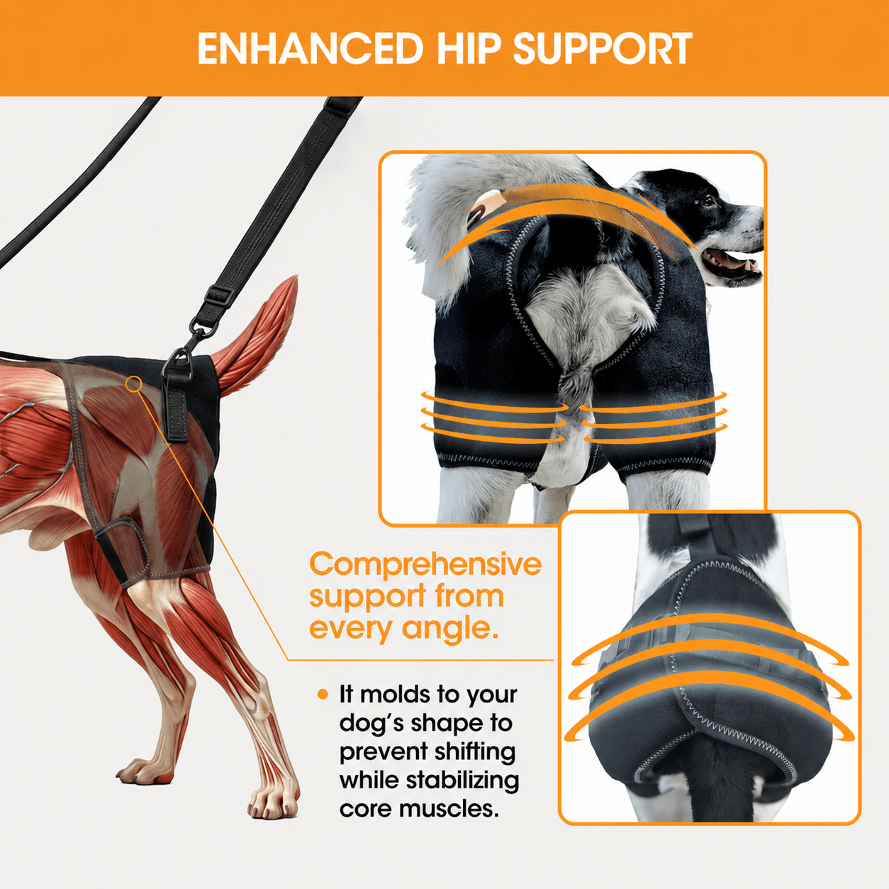 Lispoo Dog Hip Dysplasia Brace for Large Dogs