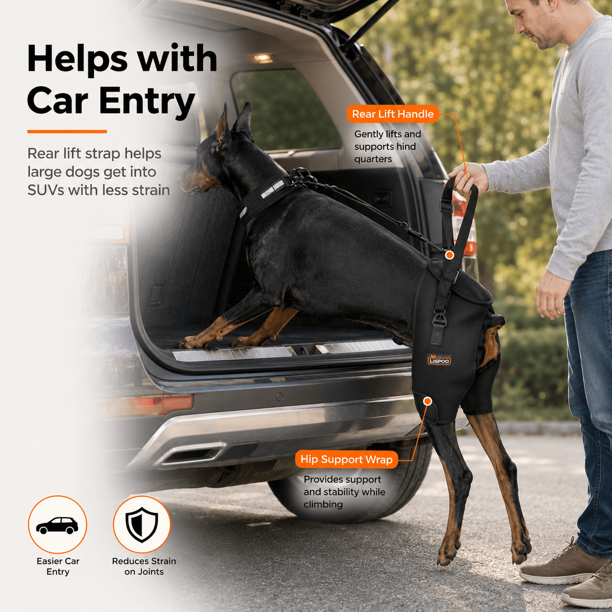 Lispoo Dog Hip Dysplasia Brace for Large Dogs