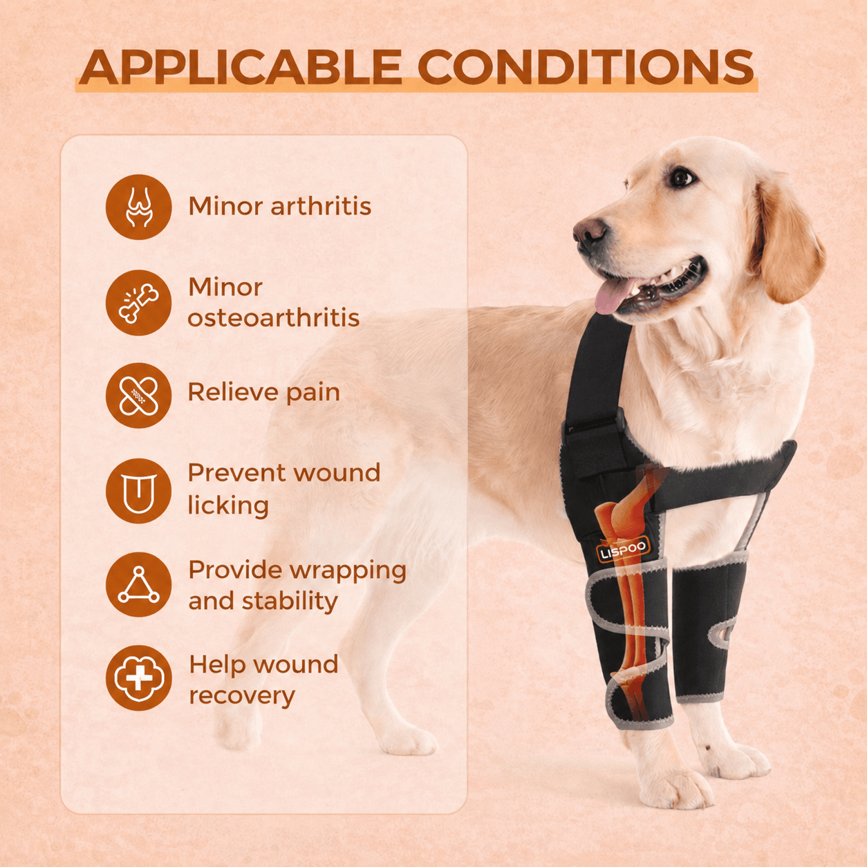Lispoo Dog Front Elbow Brace