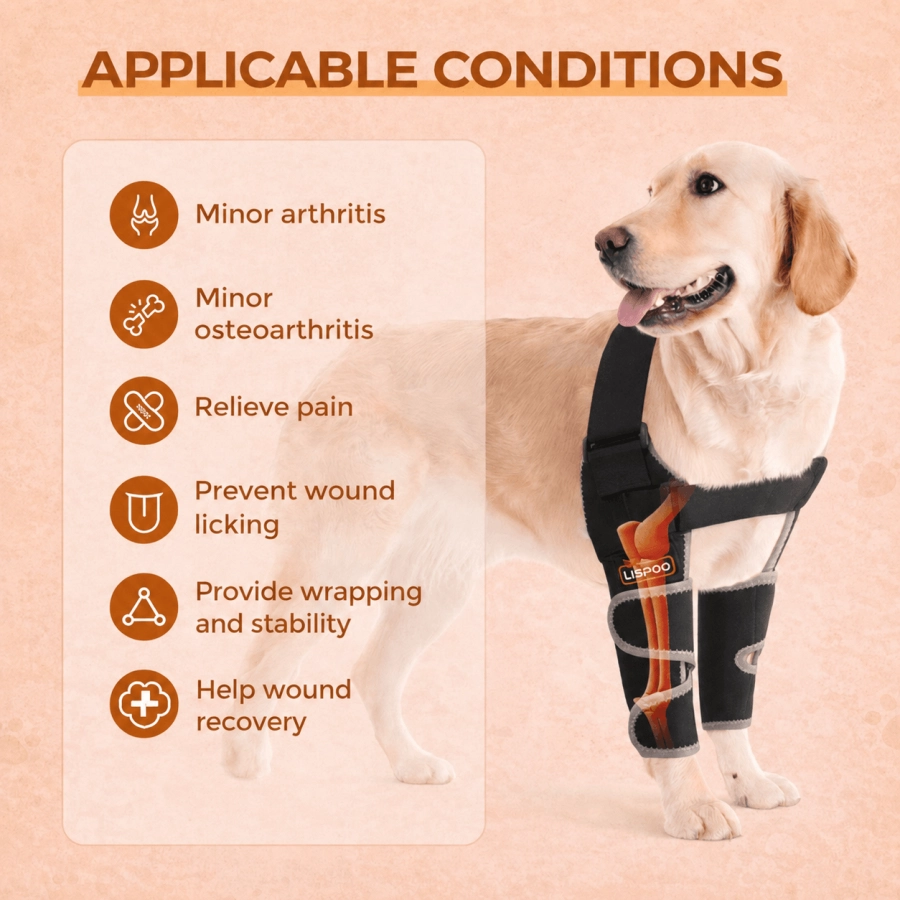 Lispoo Dog Front Elbow Brace