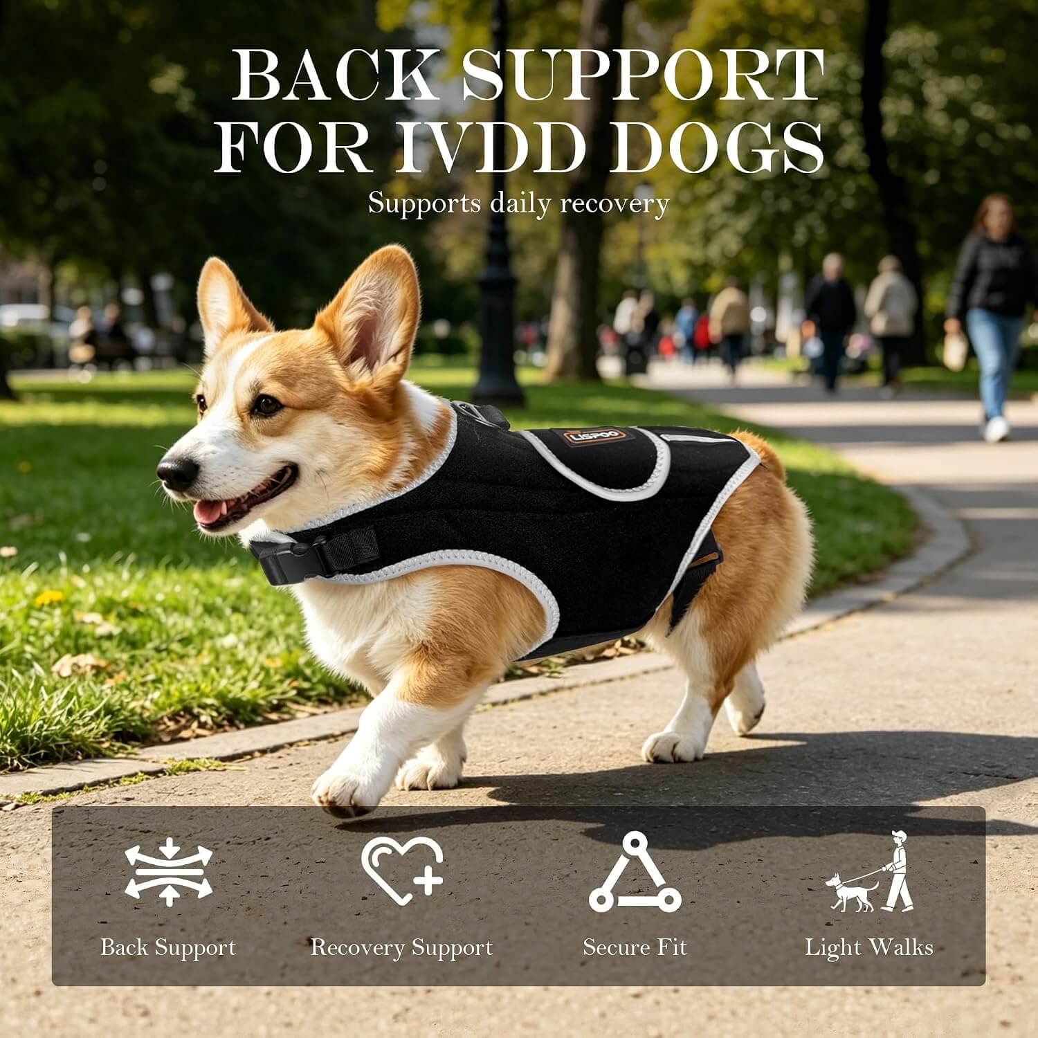 Lispoo Dog Back Brace for IVDD & Spine Support
