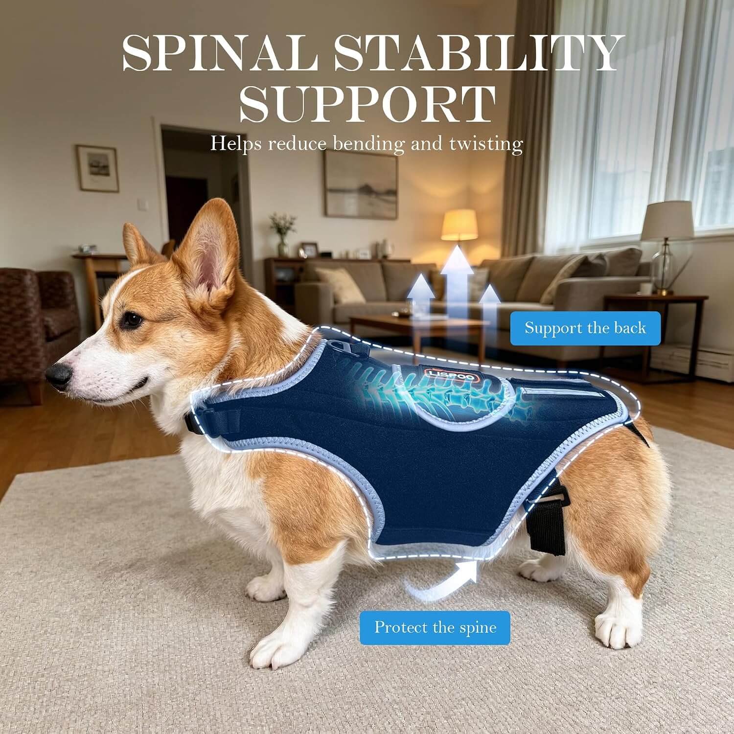 Lispoo Dog Back Brace for IVDD & Spine Support