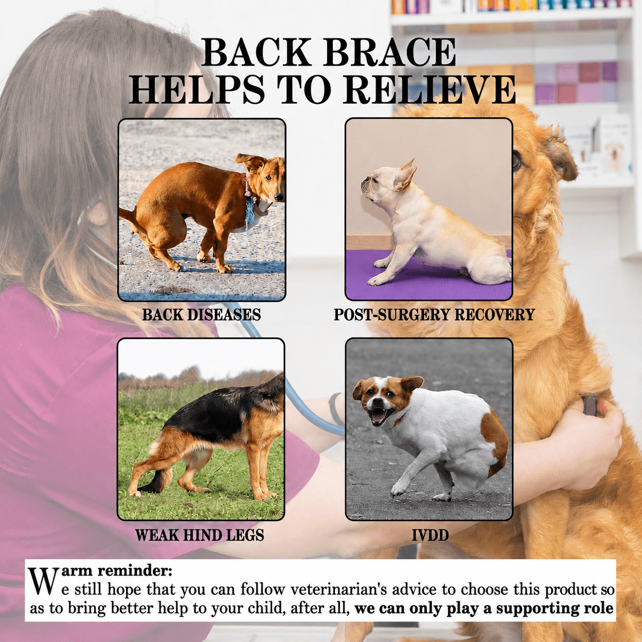 Lispoo Dog Back Brace for IVDD & Spine Support