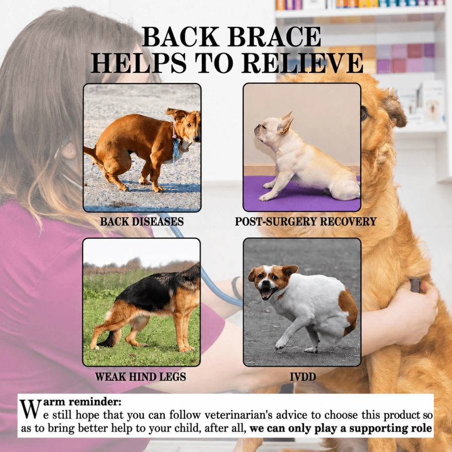 Lispoo Dog Back Brace for IVDD & Spine Support